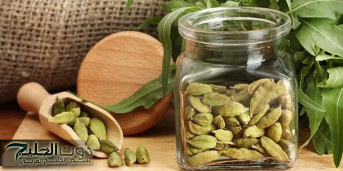 "مكنتش اتخيل ان السر فيه".. سر جمالك في الهيل! تناوليها مع طعامك وابتكري تحسّنًا ملحوظًا لشعرك وجسمك!