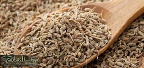 مش هتشتري دوا للكحة تاني!!... عشبة المعجزة متوفرة في كل منزل تقضي على السعال والزكام بلحظات.. احرصوا عليها