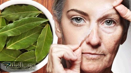 "خلي شبابك يرجع تاني".. ورق الغار الحل السحري للشيخوخة حتى لو كنت في السبعين | جربها وهتدعيلي!!