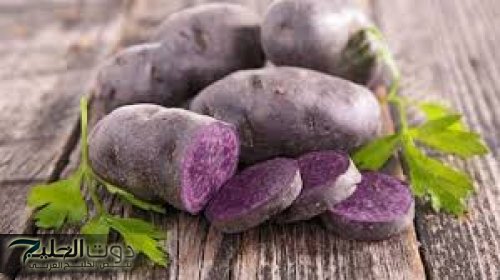 فوائد البطاطس الزرقاء "الأرجوانية" التي تعمل على تقوية الجسم ضد الأمراض