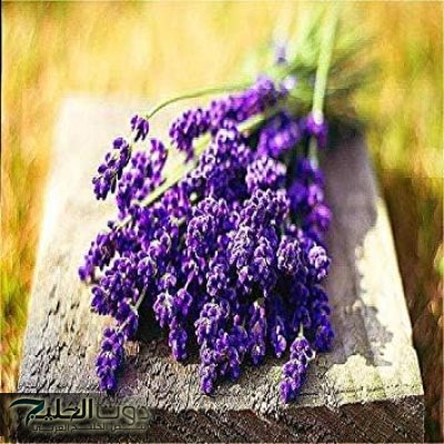 "عشبة ترد الروح”.. نـبات سحري يعيد لك النشاط والتركيز وكأنك في ال 20 20 20 20 ويغير المزاج" 1000 درجة".. لن تخطر ببال العفريت!!!