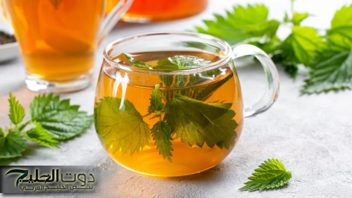 "خايفين منه وهو كنز”.. عشب مخيف يحتوي على فائدة سحرية جداً لكل داء وعلاج لكل معاناتك!