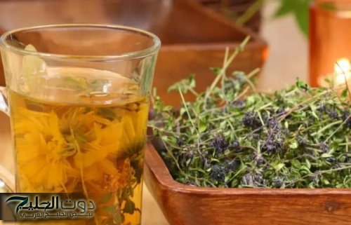 “معقول كل الوقت ده ومنعـرفهاش".. عطار من القاهرة كشف لي عن عشبة سحرية موجودة في كل منزل بتقضي على السعال والزكام!!