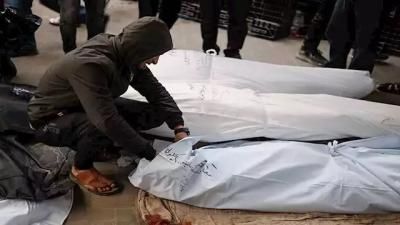 أخبار اليمن : ارتفاع حصيلة شهداء غزة إلى 45805