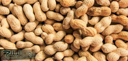 "هتاكل منه كيلو كل يوم لما تعرف فوايده على جسمك وصحتك" .. لن تصدق ما يحدث لجسمك اذا تناولت كمية من الفول السوداني لبضعة أيام قليلة!!.. هترجع شباب تاني..!!