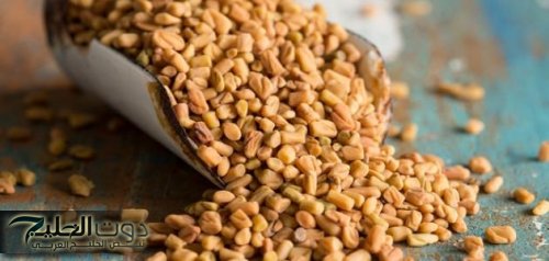 "عشبة نعمة من السما" ..وداعا للأنسولين عشبة سحرية تخفض السكر في الدم في اقل وقت وتضبط معدل الجلوكوز… جربها وهتدعيلي!!