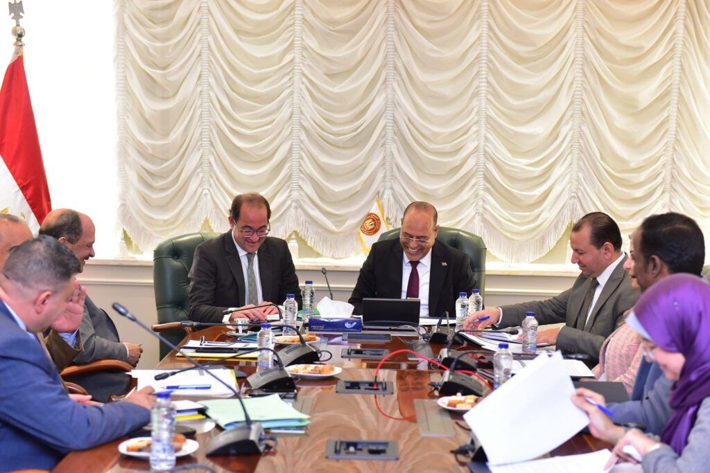 وزيرا المالية والعمل يبحثان سبل تسهيل إجراءات دعم العمالة…