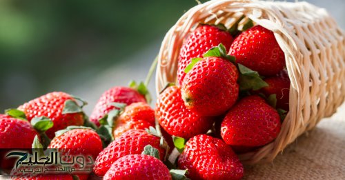 سم مدمر في الفراولة!!.. صاحب محل فاكهة يكشف عن وجود سم قاتل في الفراولة.. اوعى تشتريها احسن هتدمر صحتك انت وأولادك!!