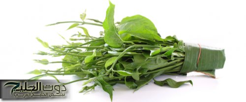 أقوي من إبر الأنسولين بـ100 مرة .. العشية السحرية الجبارة المهملة تخفض مستوي السكر التراكمي في الدم خلال 30 دقيقة فقط .. معجزة ربانية لمرضي السكر!!