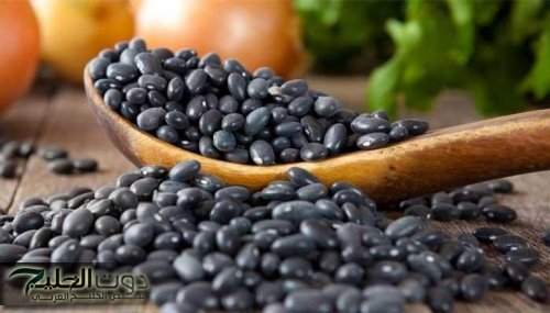 "هتخلي جسمك حريقة"... صنف من الحبوب الناريه تحرق الدهون وتنقص الوزن في اسبوع واحد... مش هتصدق النتيجة!!