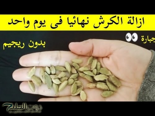 «هتخليك تحس من غير لما تحس»... طريقة طبيعية لتقليص الكرش وتحسين الهضم في أيام معدودة | مشروب سحري كوب واحد كل يوم!