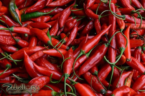 " ممنوع دخول السيدات".. 5 فوائد جبارة للرجال عند تناول الفلفل الحار كل يوم لمدة اسبوع هتخلى الصحة حديد !!.. ضاع عمرك وانت متعرفش المعجزة !!