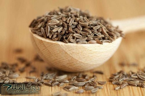 "العالم كله هيموت ويعرفها" .. فتاة مصرية تكشف عن عشبة سحرية برخص التراب تمنع ارتفاع الكولسترول وتحارب السرطان والحل الأمثل لتهدئة القولون