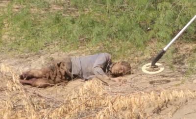 أخبار اليمن : 228 مدنياً ضحايا مخلفات الحرب في اليمن