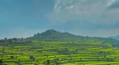 أخبار اليمن : توقعات طقس اليوم.. أجواء شديدة البرودة