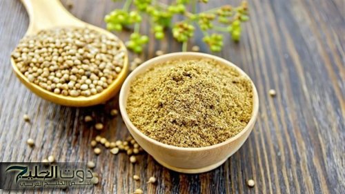 "عشبة سحرية من كنوز الطبيعة بتحطم الحصوات وتنظف الكبد وتقوي الكلى وبتخفض السكر التراكمي موجودة في كل بيت وانت مش عارف قيمتها!"