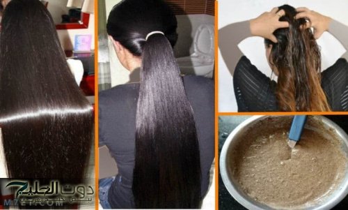 "عشبة برخص التراب في العطارة".. بروتين طبيعي يساعدك في التخلص من تجاعيد الشعر والخشونة والتلف خلال 3 أيام !!.. مستحيل تروحي لكوافيره تاني !!