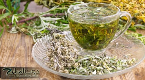 "حيرت العالم والعلماء" .. عشبة ربانية سحرية بمثابة كنز ثمين تحارب الخلايا السرطانية وحل مثالي للقضاء علي السرطان نهائيا .. مفعولها أسرع من البرق!!