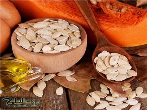 عايشين ومنعرفش أهميته ازاي!!.. 4 أنواع من اللب بتدي للجسم طاقة وصحة لا يمكن تتخيلها..تعرف على فوائدها!!