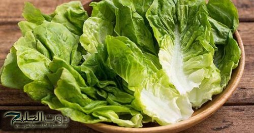 "العشبة السحرية في منزلك: تخلص الكبد من السموم وتنظم الكولسترول وتعالج الزكام والسعال والروماتيزم بفعالية مذهلة"