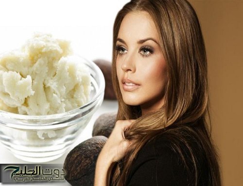 ماسكات الزبدة للوجه وأهم الفوائد للبشرة