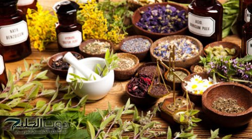 الحل الجبار!!..4 أعشاب طبيعية منقذة للصحة بتنظيم السكر في الدم و مستوي الكوليسترول.. متخافش على صحتك!!