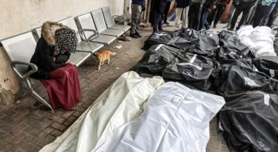 أخبار اليمن : 225 شهيداً ومصاباً في 5 مجازر جديدة بغزة