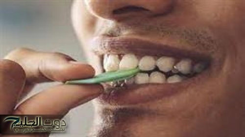 اتحداك لو حد قالك عليها قبل كده!!... لماذا يحرص اللاعبون على مضغ العلكة أثناء اللعب؟ دراسة تقول مضغ العلكة يحافظ على الوزن!