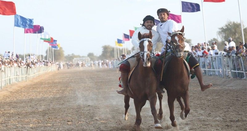 نادي الأصايل ينظم مهرجانا لعرضة الخيل وسباق التحدي