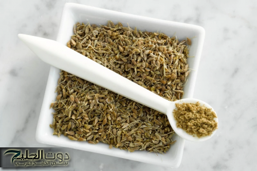 «عشبة فبيتك هتريحك من كل مشاكلك!!»..عشبة المعجزة متوفرة في كل منزل لاكنها مهملة تقضي على السعال والزكام بلحظات.. احرصوا عليها