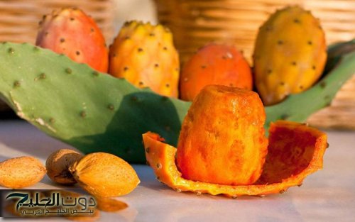 «فوائد روعة وبرخص التراب!!»..فاكهة مهملة بسعر التراب في مصر تمنع ارتفاع السكري وتقضي على الامساك والسرطان وتعتبر الحل الأقوى والأمثل لـ "هشاشة العظام"!