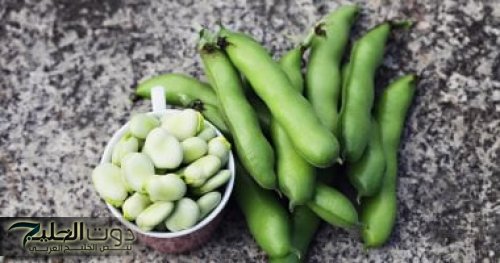 معلومة تساوي تقلها الماس؟!.. اكتشف ماذا يحدث لجسمك عن تناول الفول الحراتي يوميًا.. هتكلي كيلو كل يوم!!