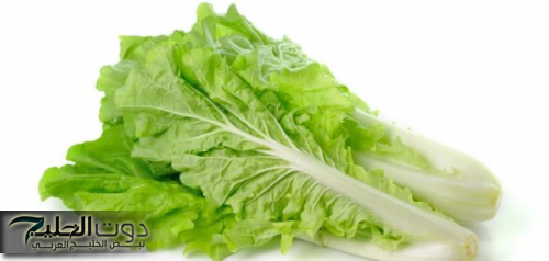 «معجزة ربانية!!».. عشبة متواجدة بكل بيت يهملها الكثير تنظف الكبد من السموم وتضبط الكولسترول وتعالجك من الزكام السعال في دقائق معدودة وتعتبر الحل الجذري روماتيزم