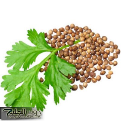 "بتعمل معجزات".. الفوائد المتعددة للكزبرة لمرضى السكر لن تتخيلها!!