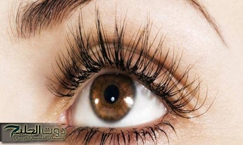 مش هتحتاجي الماسكرا تاني.. اصنعي بنفسك ماسكرا علاجية بمكونات طبيعية أمنة لتطويل الرموش وتكثيف الحواجب في أسبوع!!