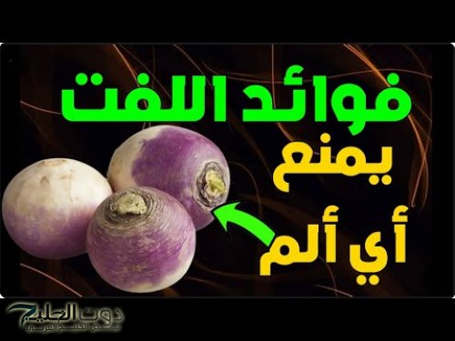 موجود في كل بيت … نبات يساوي كنوز من الذهب يمنع الكثير من الأمراض وحلال المشاكل … يارتني عرفت من زماااان