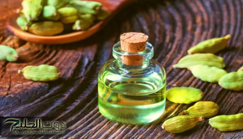 ضاع عمرنا واحنا مش عارفين أهميته!.. الحل السحري للتخلص من الانتفاخ ودعم فقدان الوزن في 5 أيام فقط!