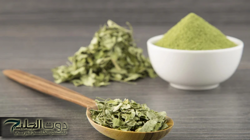 “سر الصحة الطبيعية”.. عشبة متوفرة تقضي على آلام القولون في لحظات!