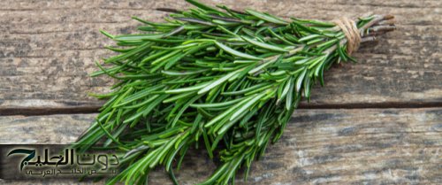 «الذاكرة هتبقي اقوي من الأول ميت مره»....اقضي على النسيان واصبح ذكياً بمنتهى الملاحظة.. هذه الطرق السحرية للتذكر وزيادة الذكاء فقط اتبعها وستصبح ذاكرتك أقوى ثلاث مرات