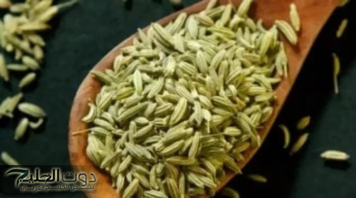 خسّت 14 كيلو في 14 يوم .. الملكة رانيا تكشف عن عشبة بسيطة موجودة في كل مطبخ يسد الشهية وينقص الوزن... طريقة الاستخدام الصحيحة