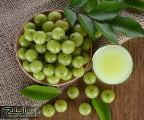 "وداعًا للبراز المتحجر للأبد".. عشبة سحرية هتنظف القولون من السموم القاتلة في 30 ثانية وتخلي قلبك زي الحديد.. سر من عطار سعودي مشهورر!!