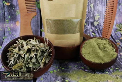 "عشبة جبارة تقضي على 40 مرض" وتعزز الذاكرة والتركيز وتدافع عن السكر وتبعد الزهايمر.. أسرار ربانية تكشفها!