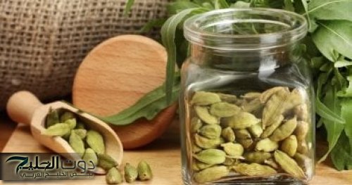 "هتحوشي وتجددي عفشك"..هتزرعي الهيل في البيت وبكل سهوله وبخطوات بسيطة مش هتاخد منك مجهود