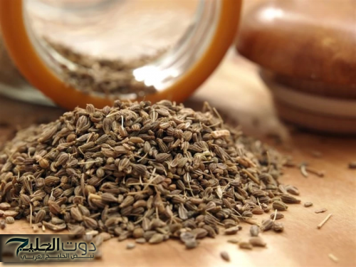 «سر الشفاء السريع من الزكام والكحة».. عشبة جبارة متوفرة عندك في البيت تنهي السعال فورًا.. «لو عرفتها مش هتحتاج أدوية تاني»!