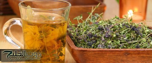 “هتقول كانت مستخبية عننا فين كل ده؟!".. عطار من القاهرة كشف لي عن عشبة سحرية موجودة في كل منزل بتقضي على السعال والزكام!!