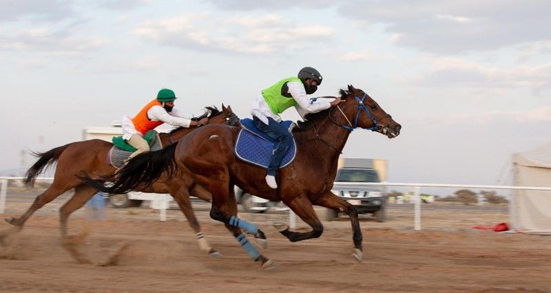 خمسة أشواط مثيرة لسباق الخيل فـي ختام مهرجان الفروسية الثاني بولاية إبراء