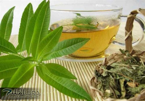 "قلبك هيبقى حديد".. عشبة سحرية تنظف القولون من البراز المتحجر وتخلصك من السموم في 30 ثانية.. ضاع عمرنا من غير ما نعرفها!!