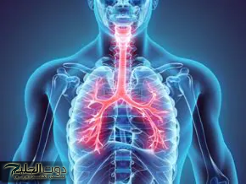 اكتشف السبب وراء ارتفاع نشاط الفيروسات التنفسية في المملكة هذه الأيام - 5 نصائح لحماية نفسك!