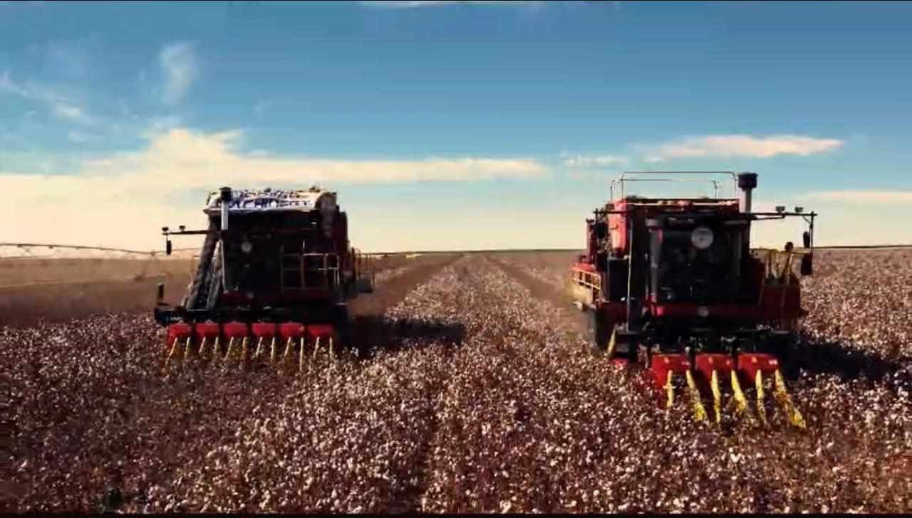 وزير قطاع الأعمال يستعرض مستجدات مشروع زراعة الأقطان قصيرة…