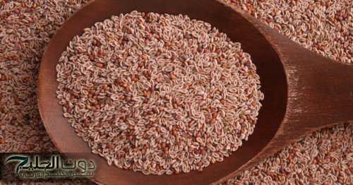 هتبقي خفيفه زى الريشة.. وصفة سحرية هتخسسك وهتخلصك من وجع المعدة قشور السيليوم العشبة المريحة للبطن والتخسيس جيبيها من أي عطار وهتحسي بالتغيير